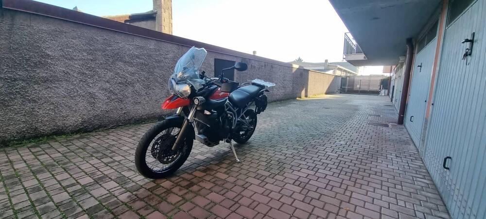 Triumph Tiger 800 XC (2011 - 12) (6)