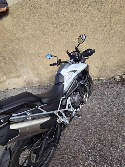 Triumph Tiger 1200 GT Pro (2022 - 23) usata
