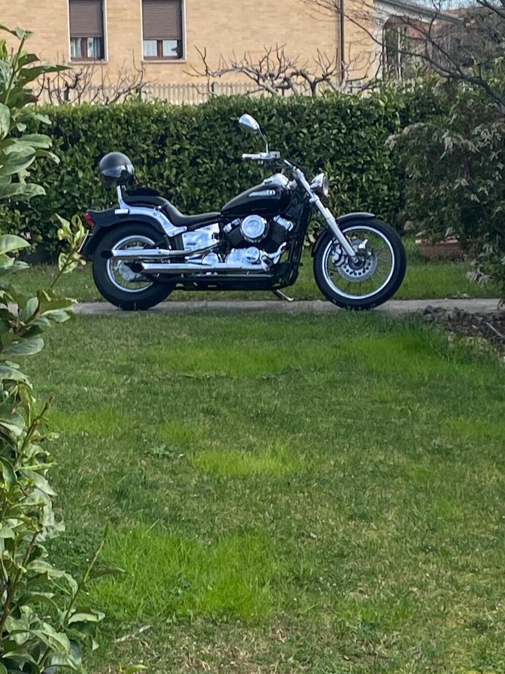 Yamaha XVS 650 Drag Star (1997 - 05) (9)