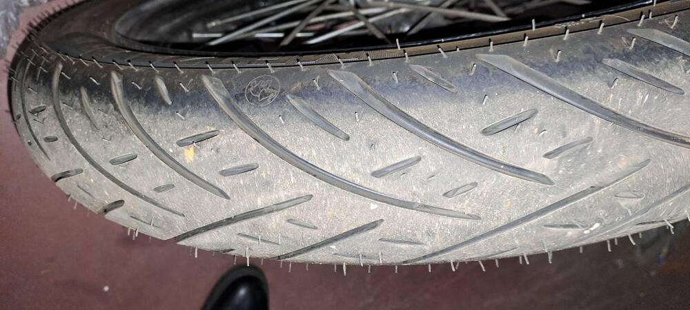 Harley-Davidson XL 1200N Nightster (2008 - 12) (8)