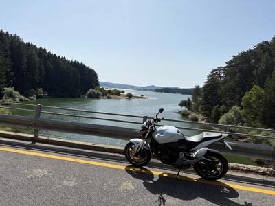 Honda Hornet 600 (2011 - 13) usata