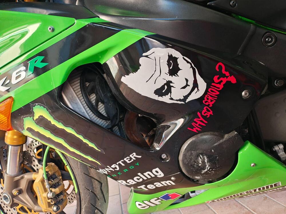 Kawasaki Ninja 636 ZX-6R (2005 - 06) (9)