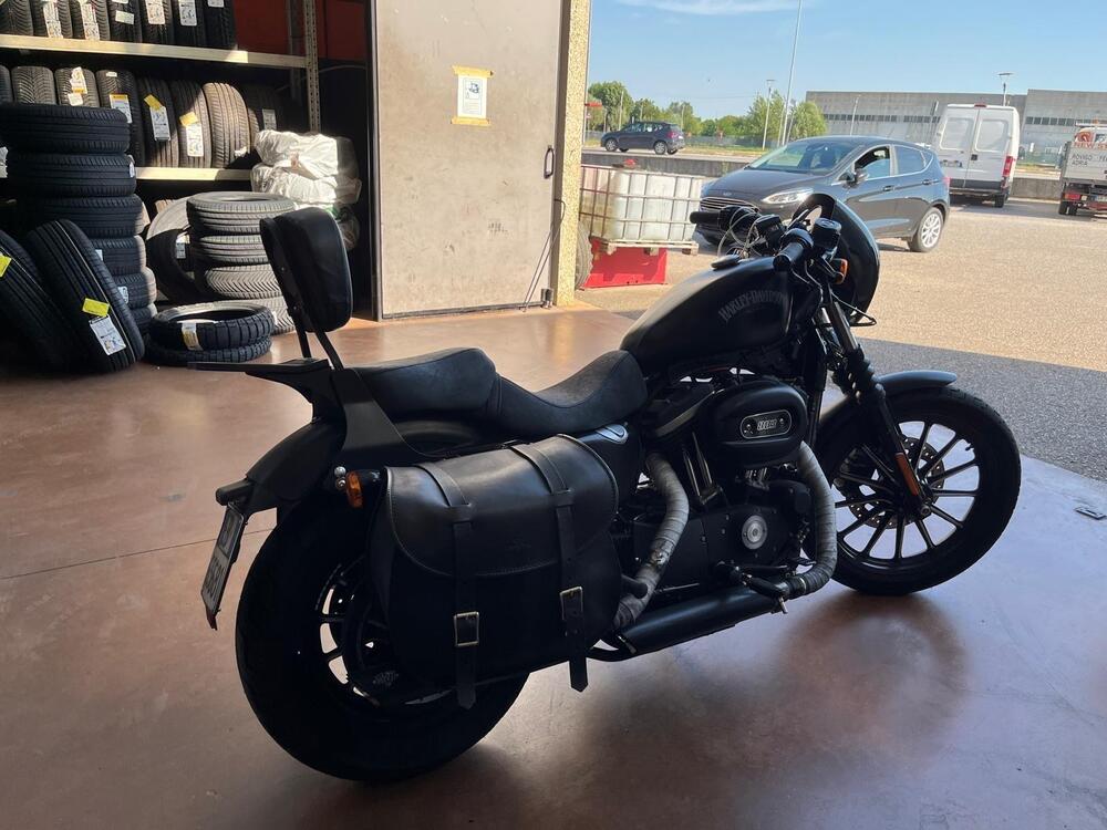 Harley-Davidson 883 Iron (2012 - 14) - XL 883N (4)