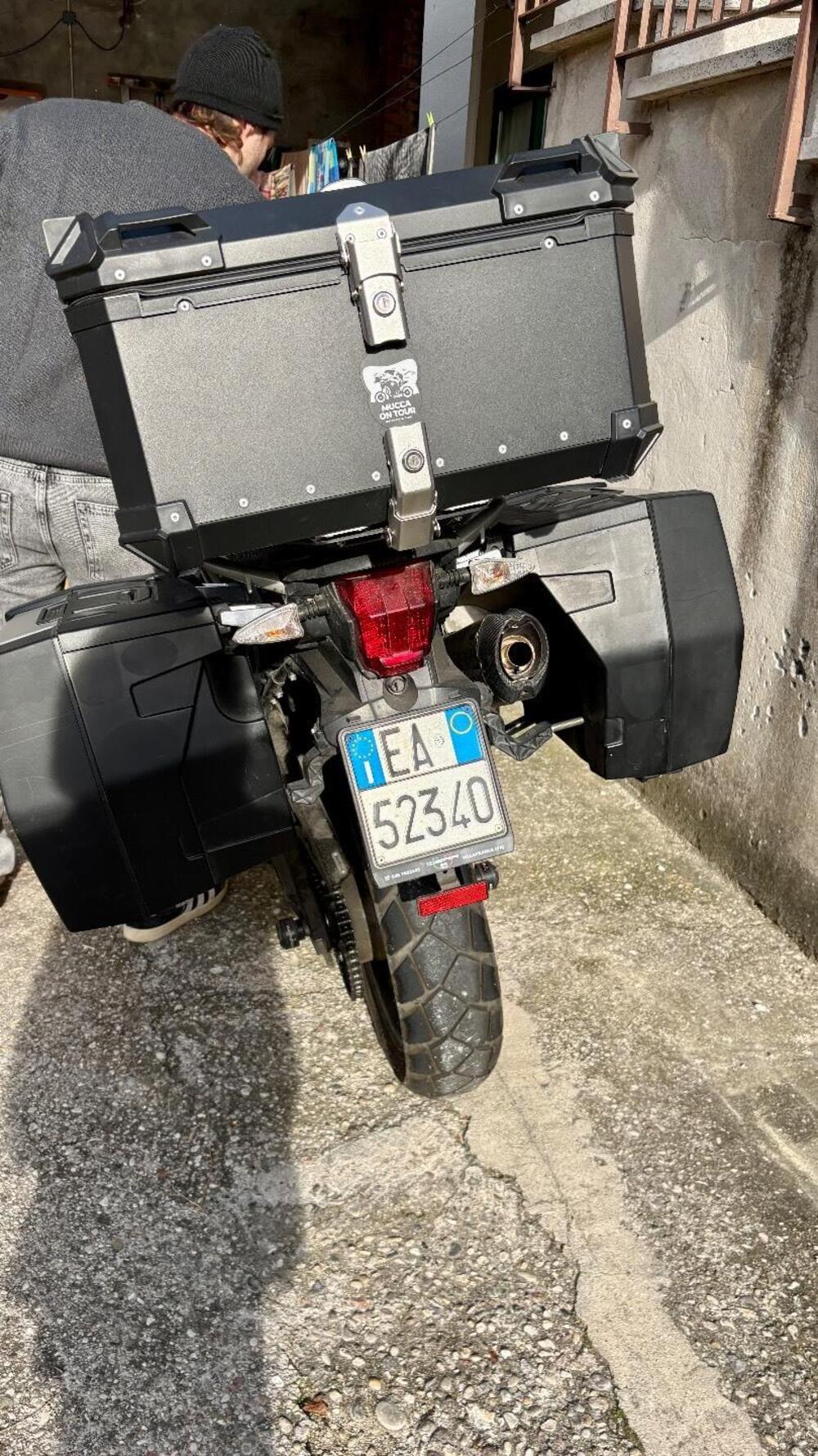 Triumph Tiger 800 ABS (2010 - 14) (9)