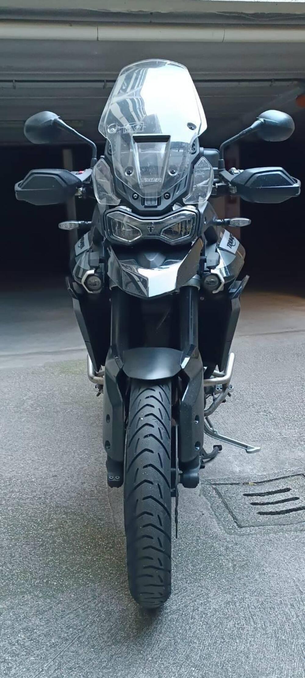 Triumph Tiger 900 GT Pro (2020 - 23) (10)