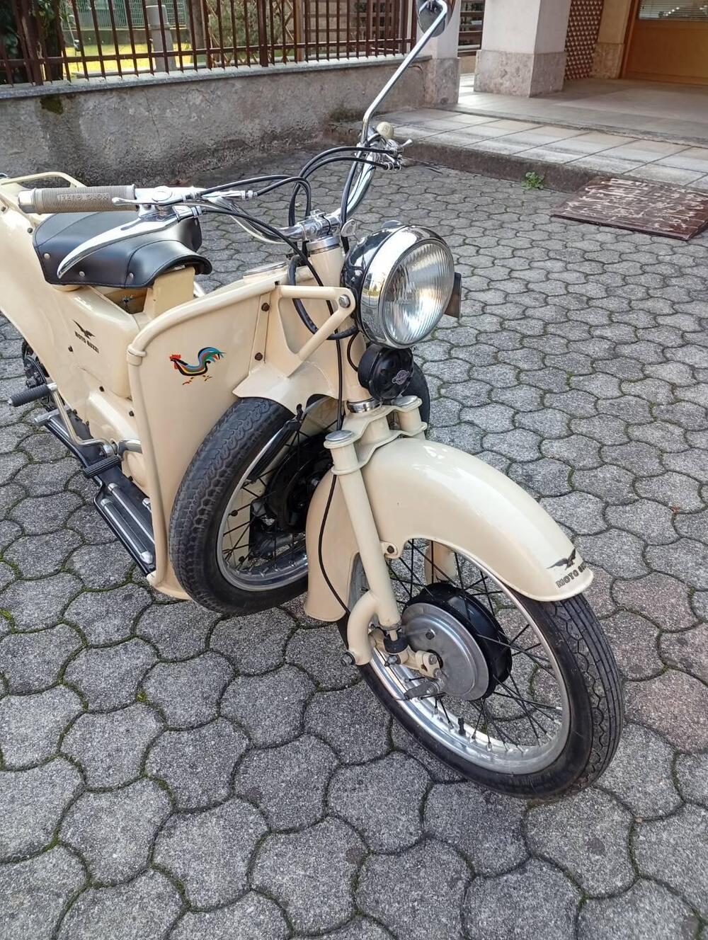 Moto Guzzi Galletto 160 (5)