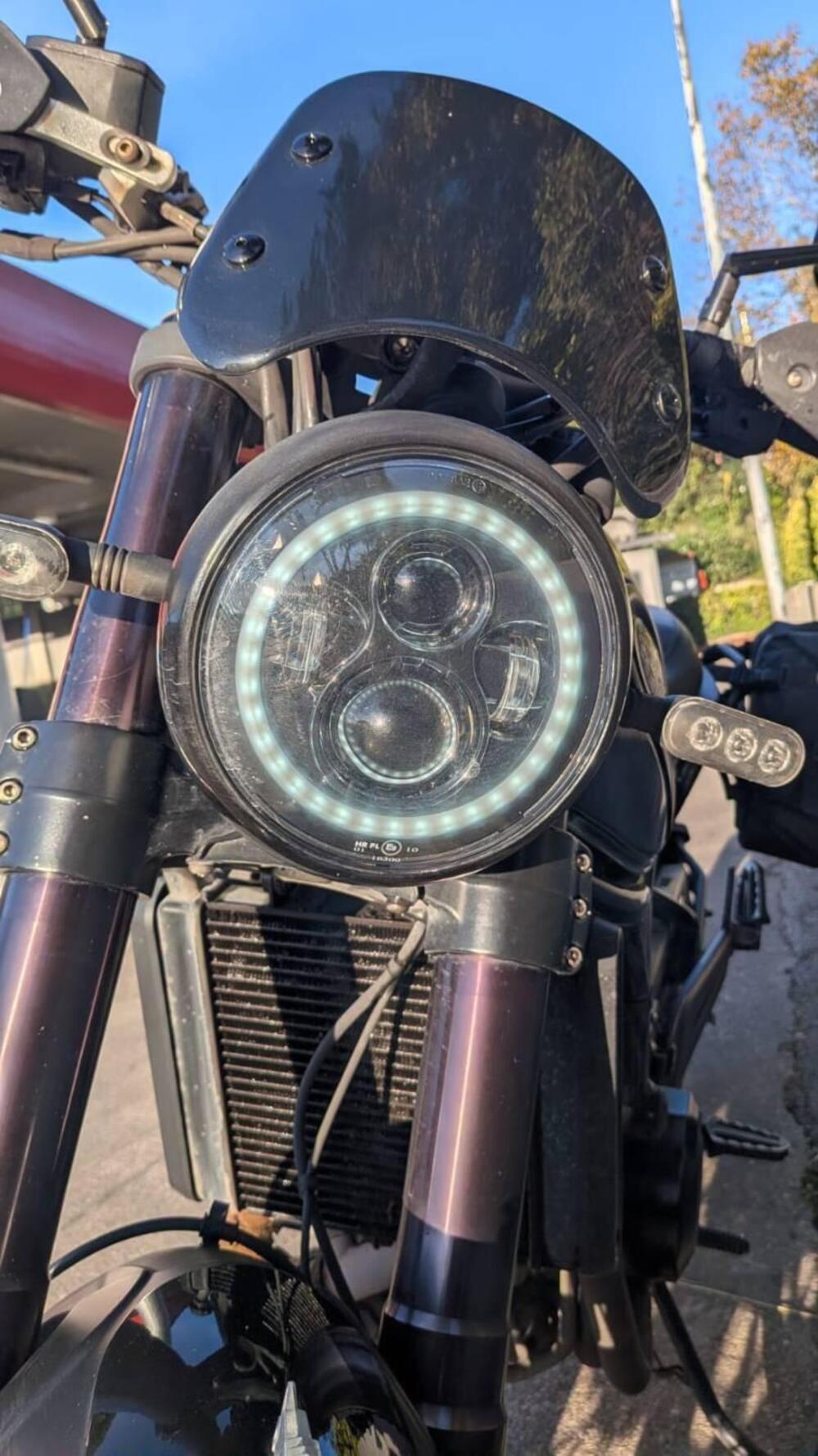 Benelli Leoncino 500 Trail ABS (2017 - 20) (5)