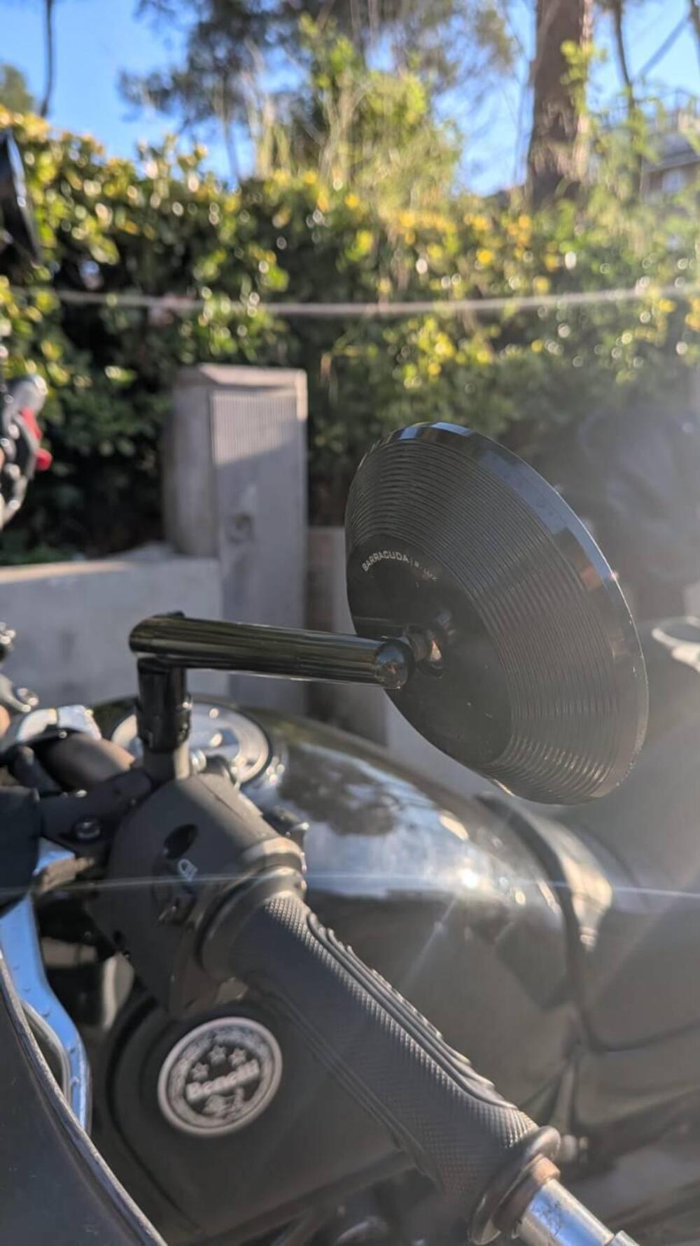 Benelli Leoncino 500 Trail ABS (2017 - 20) (10)