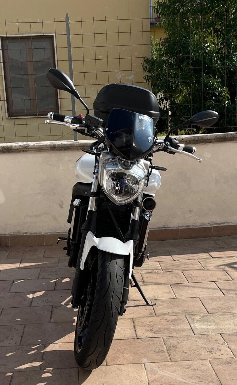 Yamaha FZ6 S2 (2007 - 11) (7)