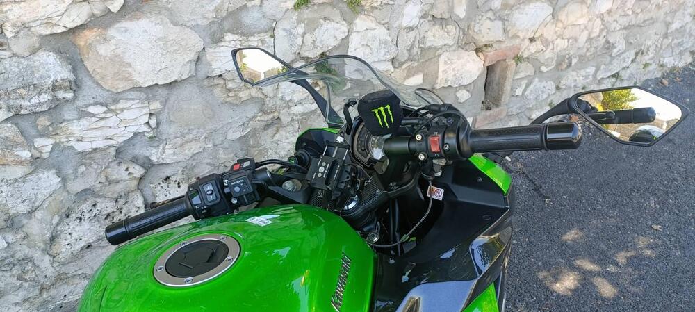 Kawasaki Z 1000 SX Tourer (2017 - 20) (10)