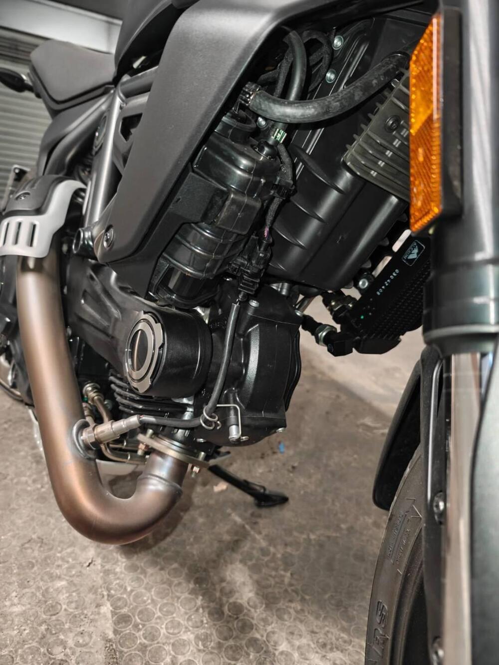 Ducati Scrambler 800 Icon Dark (2025 - 26) (5)