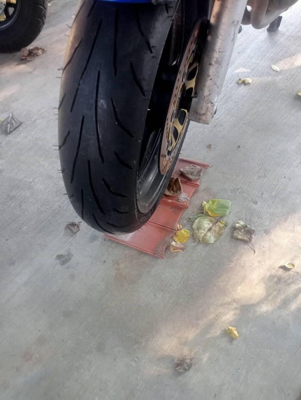 Suzuki GSF 600 Bandit (2000 - 05) (6)