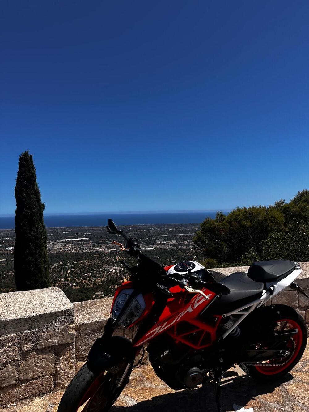 KTM 390 Duke ABS (2017 - 20)