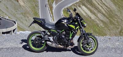 Kawasaki Z 650 (2021 - 24) usata