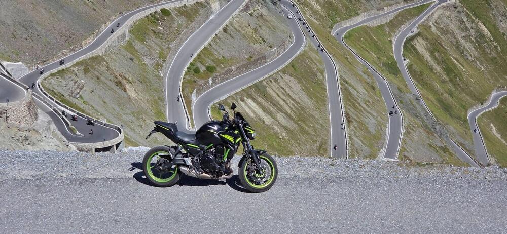 Kawasaki Z 650 (2021 - 24) (5)