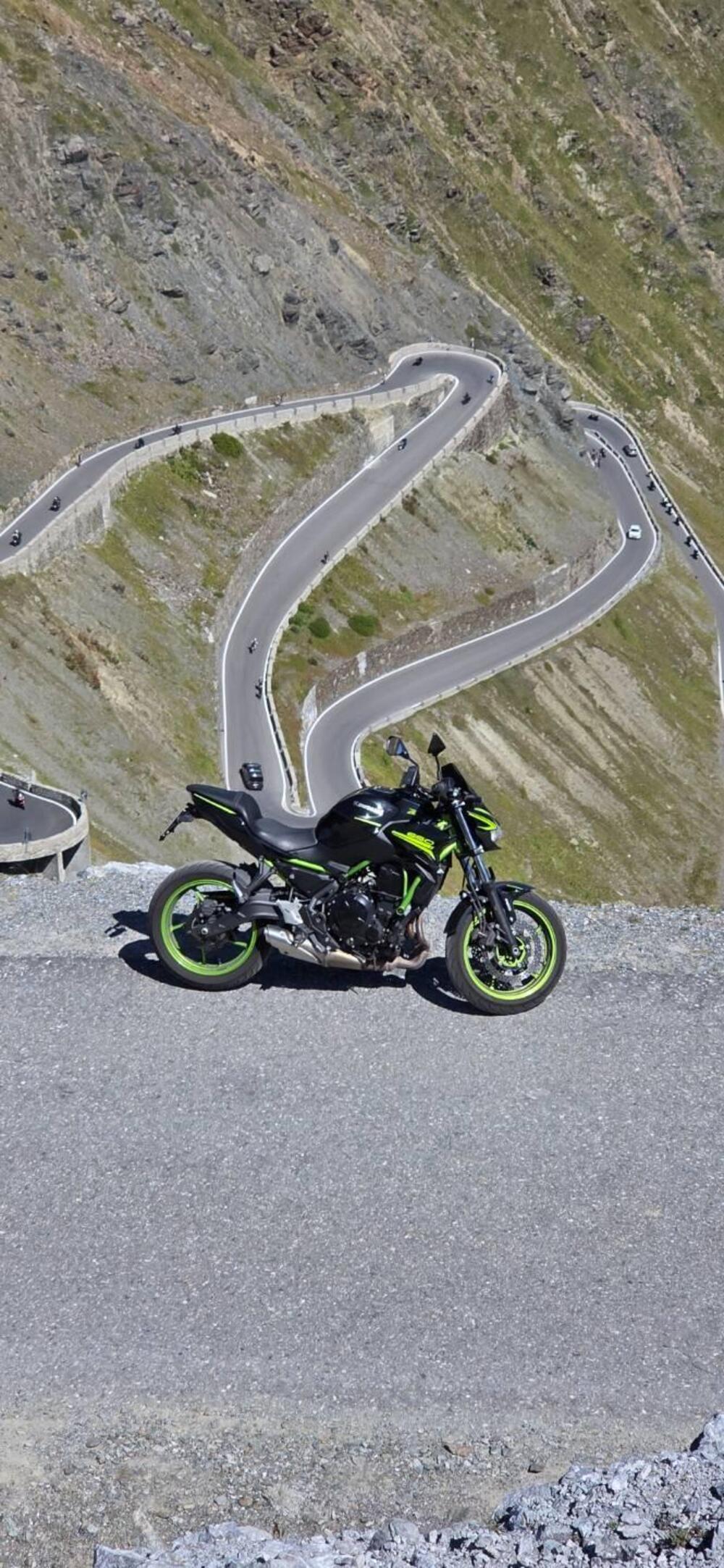 Kawasaki Z 650 (2021 - 24) (6)