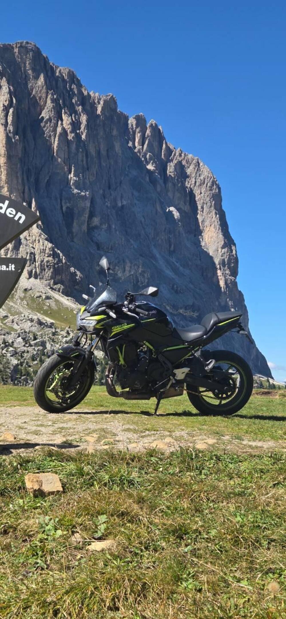 Kawasaki Z 650 (2021 - 24) (9)