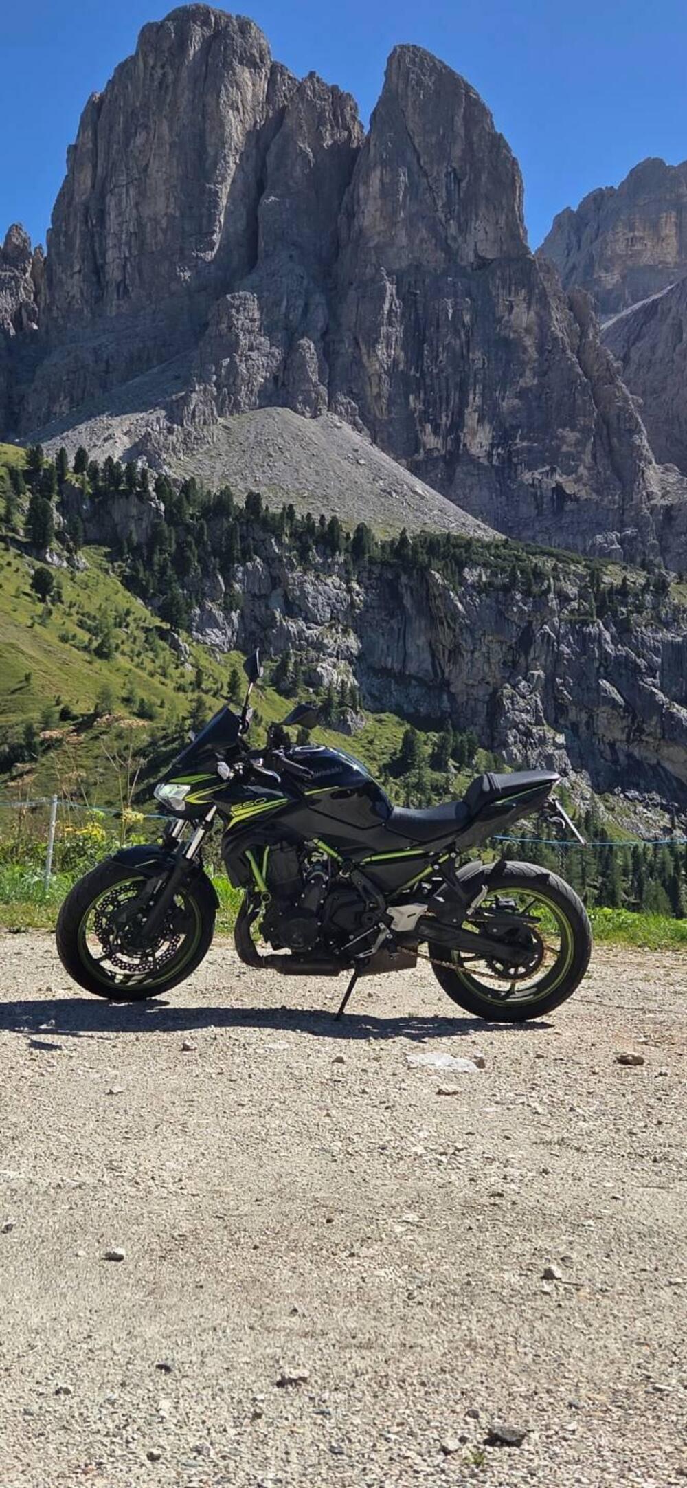 Kawasaki Z 650 (2021 - 24) (10)