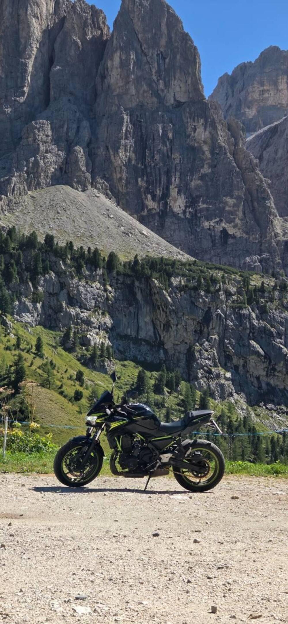 Kawasaki Z 650 (2021 - 24) (11)