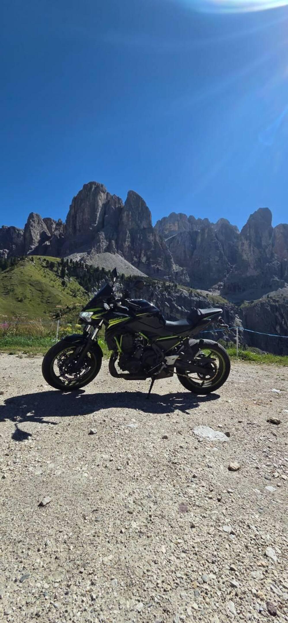 Kawasaki Z 650 (2021 - 24) (12)