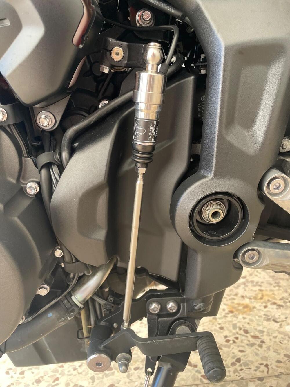 Triumph Trident 660 (2021 - 24) (6)