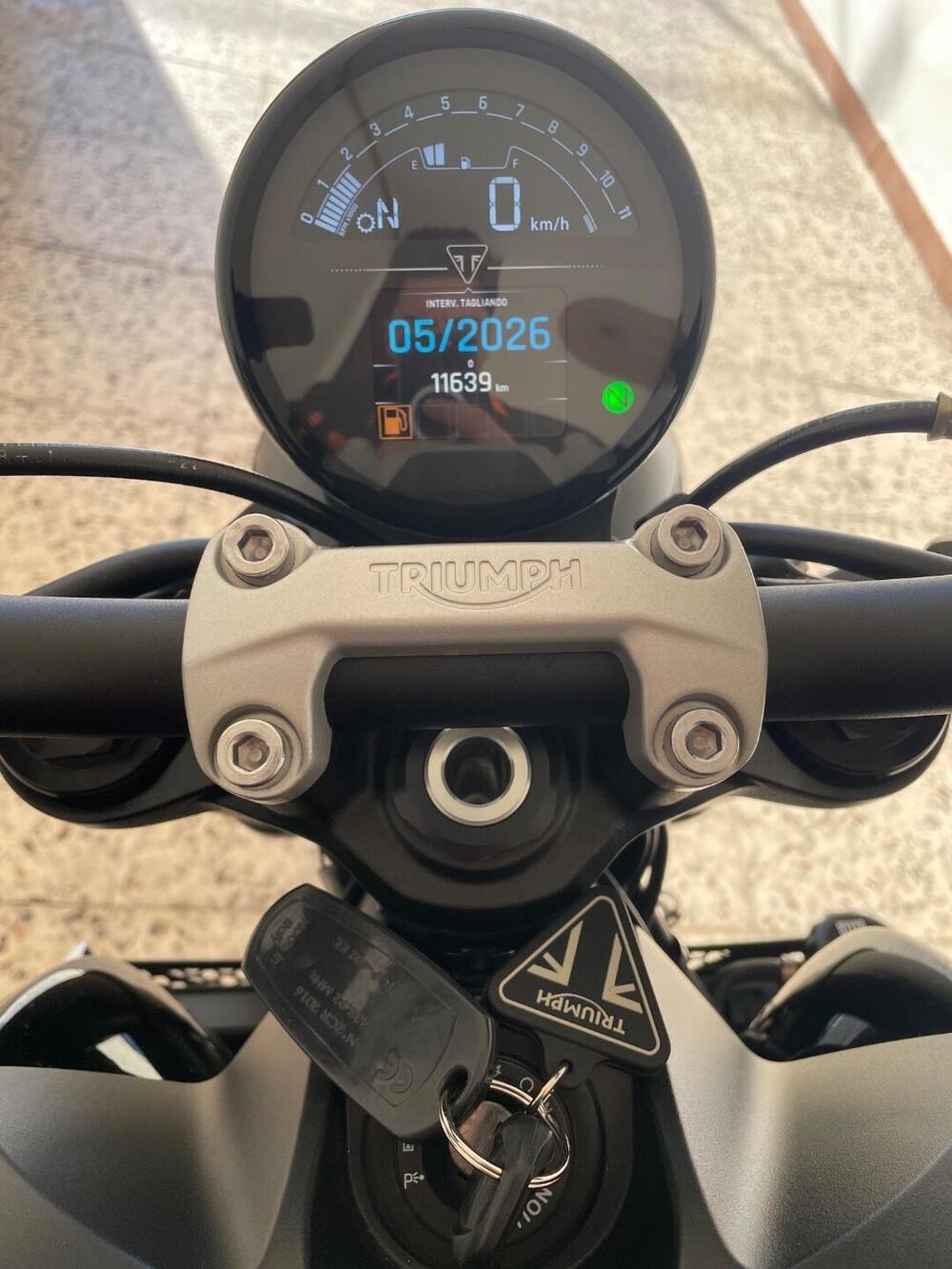 Triumph Trident 660 (2021 - 24) (18)