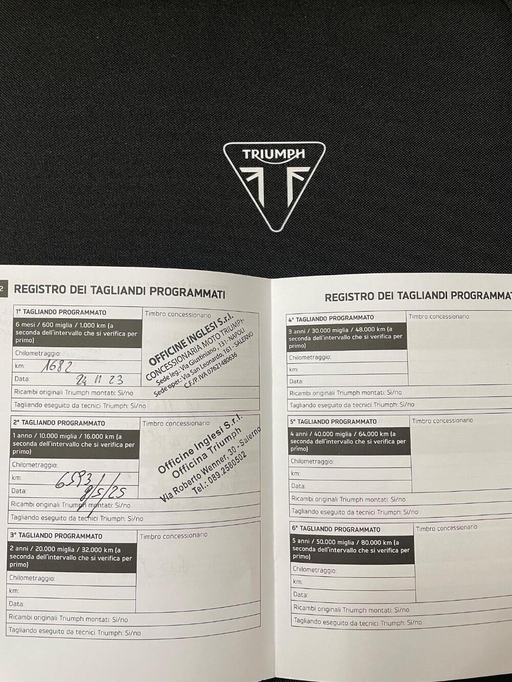 Triumph Trident 660 (2021 - 24) (19)