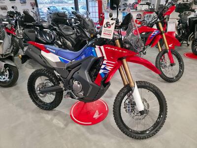 Honda CRF 300 Rally (2025) nuova