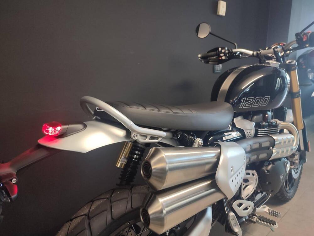 Triumph Scrambler 1200 XE (2024 - 25) (6)