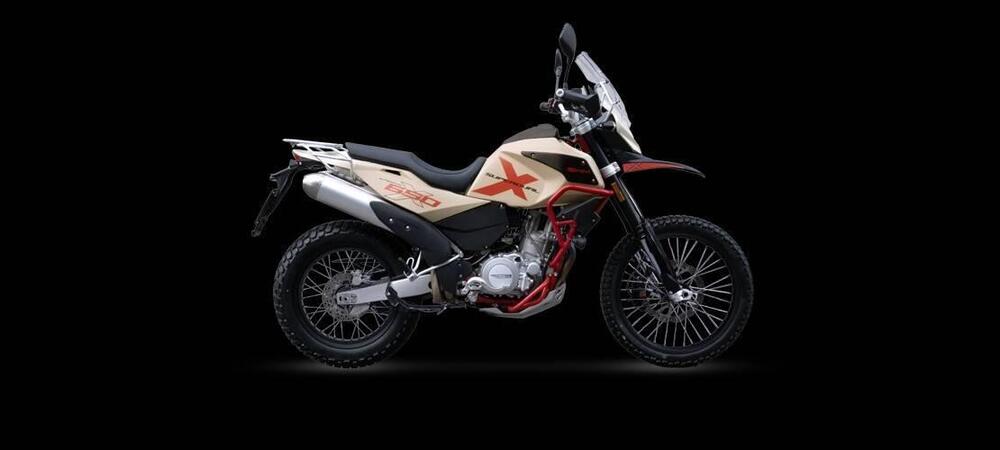 Swm Superdual 600 X (2025 - 26) (2)