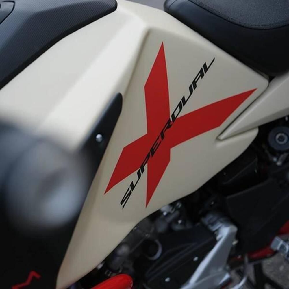 Swm Superdual 600 X (2025 - 26) (10)