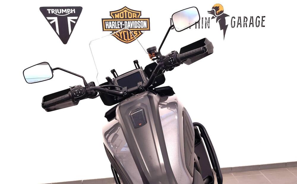Harley-Davidson Pan America 1250 Special (2020 - 25) (13)