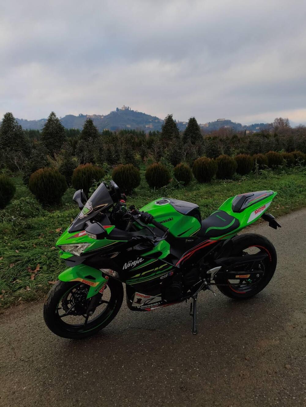 Kawasaki Ninja 400 KRT (2018)