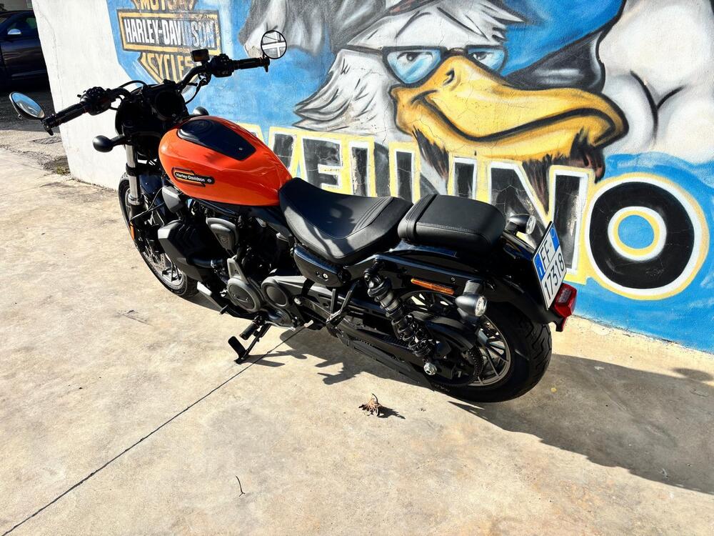 Harley-Davidson Nightster Special (2023 - 26) (6)