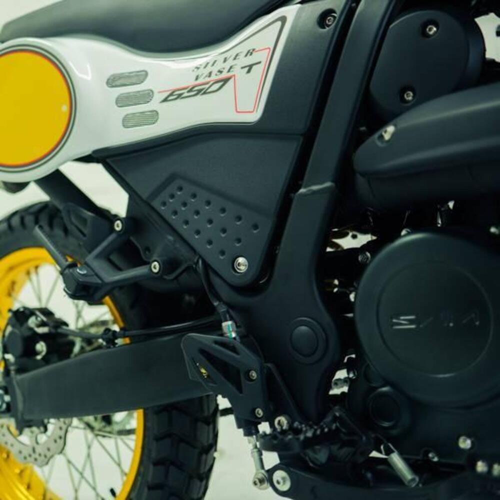 Swm Silver Vase 650 T (2025 - 26) (9)