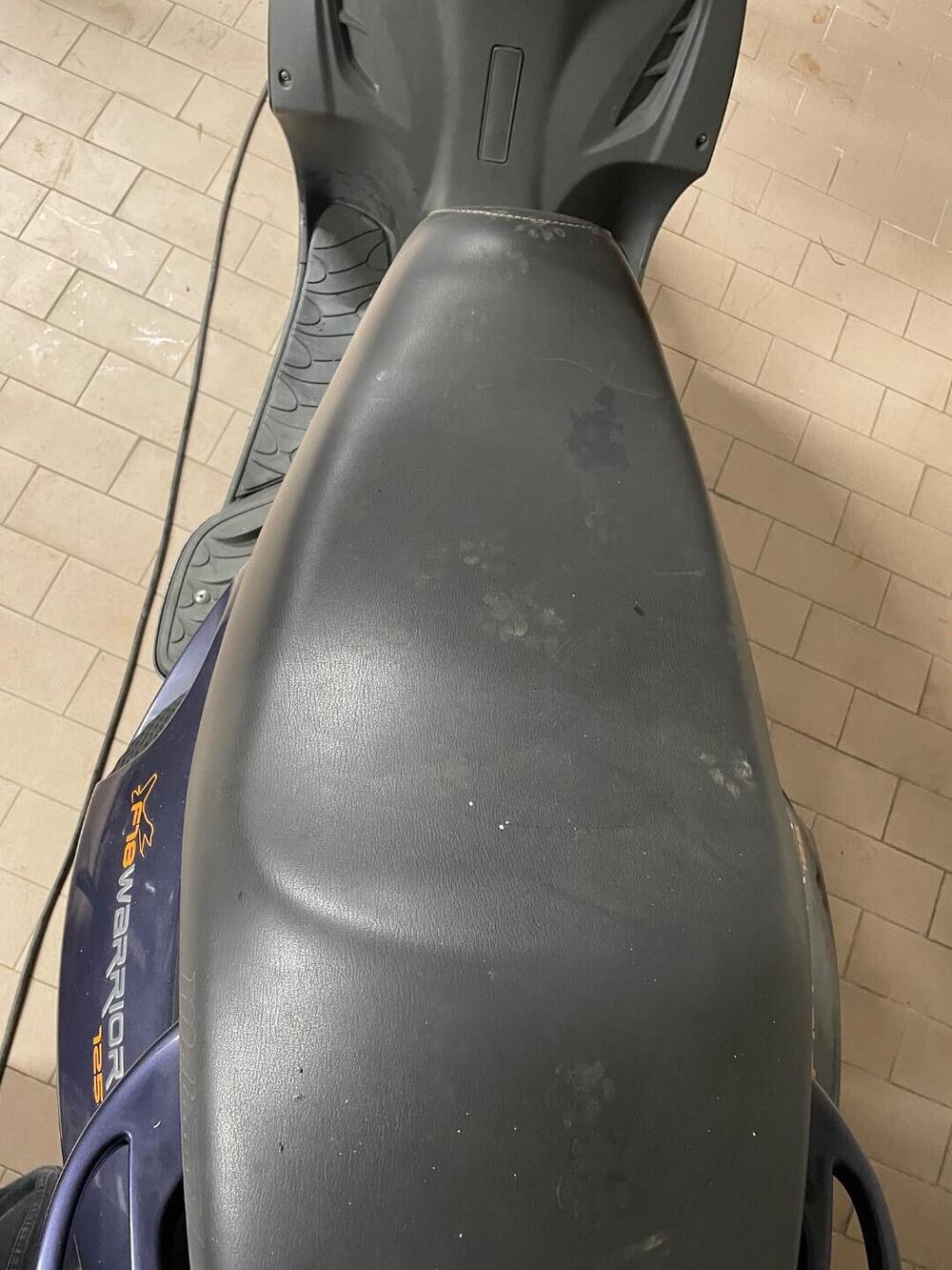 Malaguti F18 Warrior 125 (2000 - 01) (11)