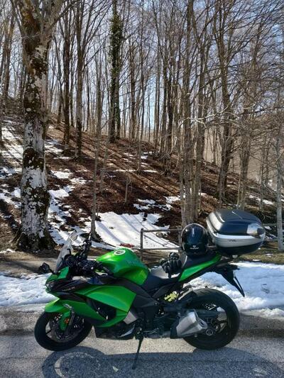 Kawasaki Z 1000 SX (2017 - 20) usata