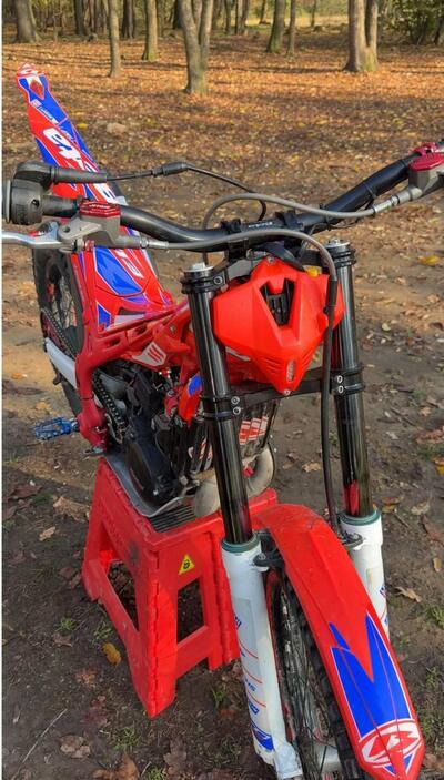 Betamotor Evo 300 2t Factory (2017) usata