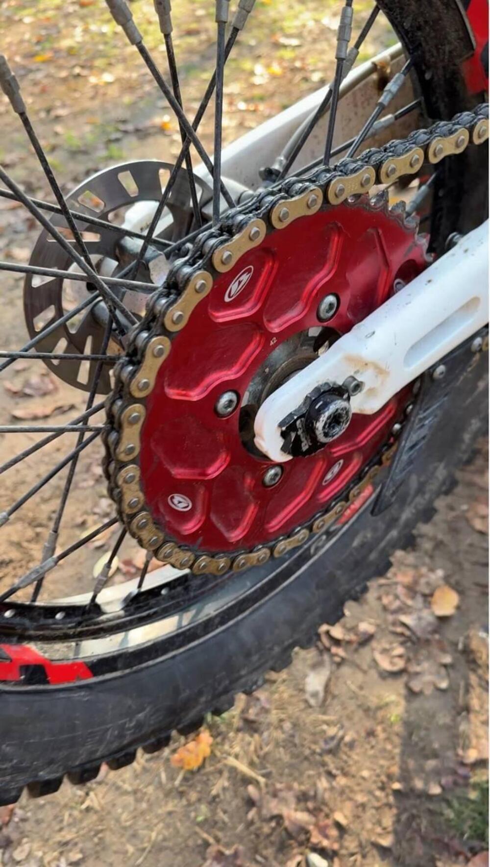 Betamotor Evo 300 2t Factory (2017) (2)