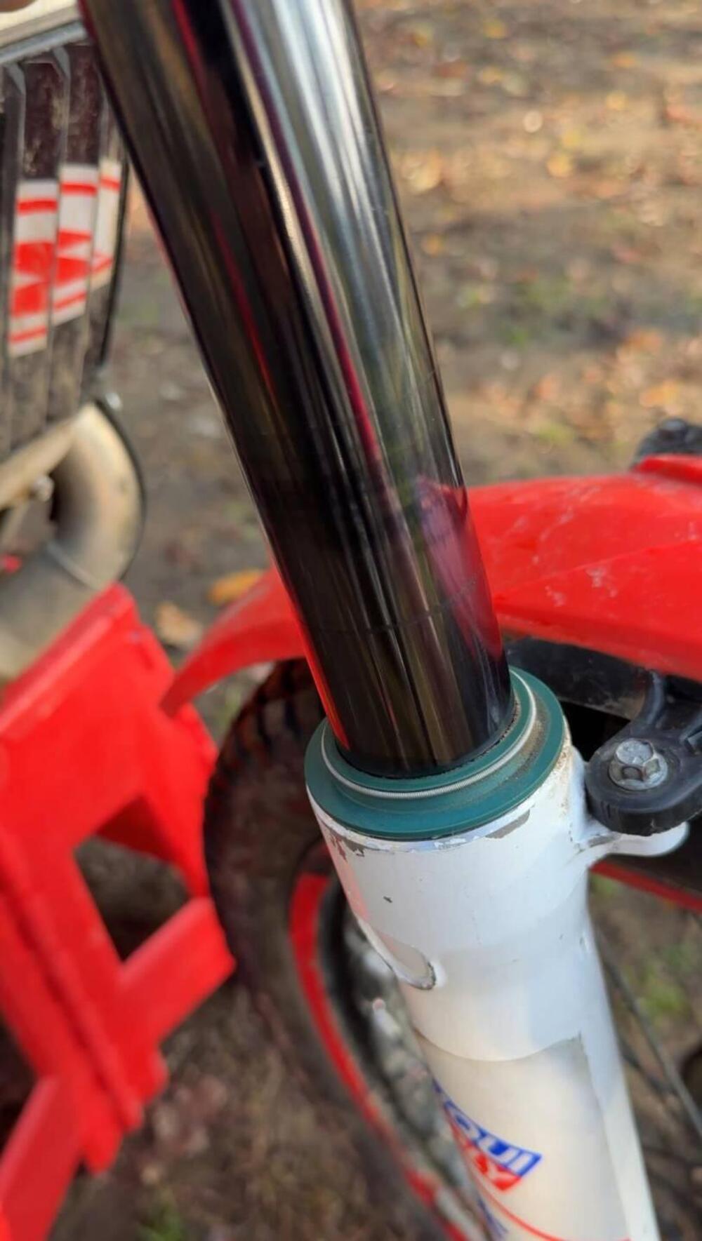 Betamotor Evo 300 2t Factory (2017) (4)