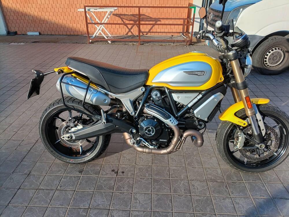 Ducati Scrambler 1100 (2018 - 20) (5)