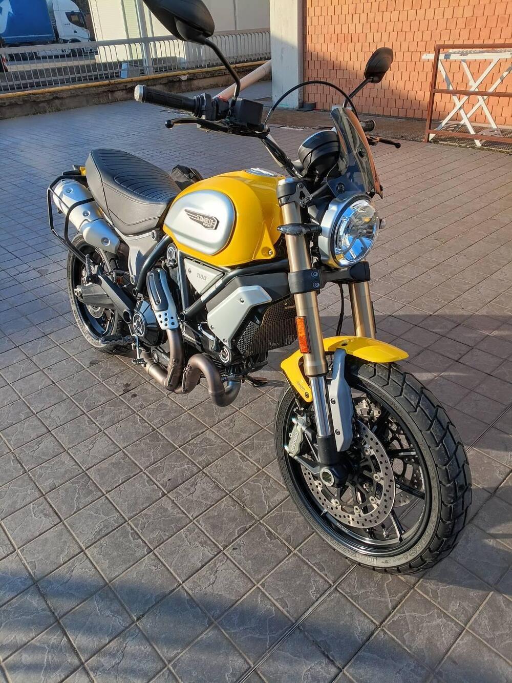Ducati Scrambler 1100 (2018 - 20) (6)