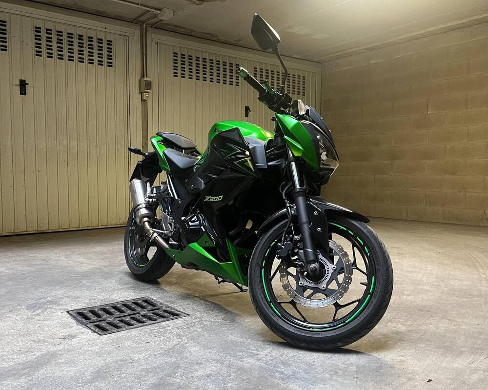Kawasaki Z 300 ABS (2015 - 16)