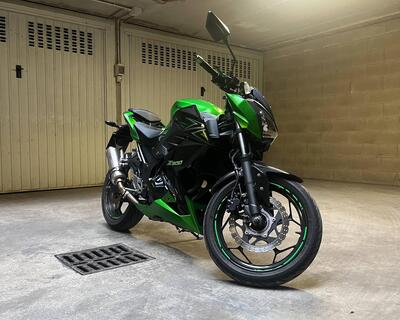 Kawasaki Z 300 ABS (2015 - 16) usata
