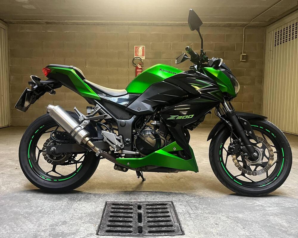 Kawasaki Z 300 ABS (2015 - 16) (2)