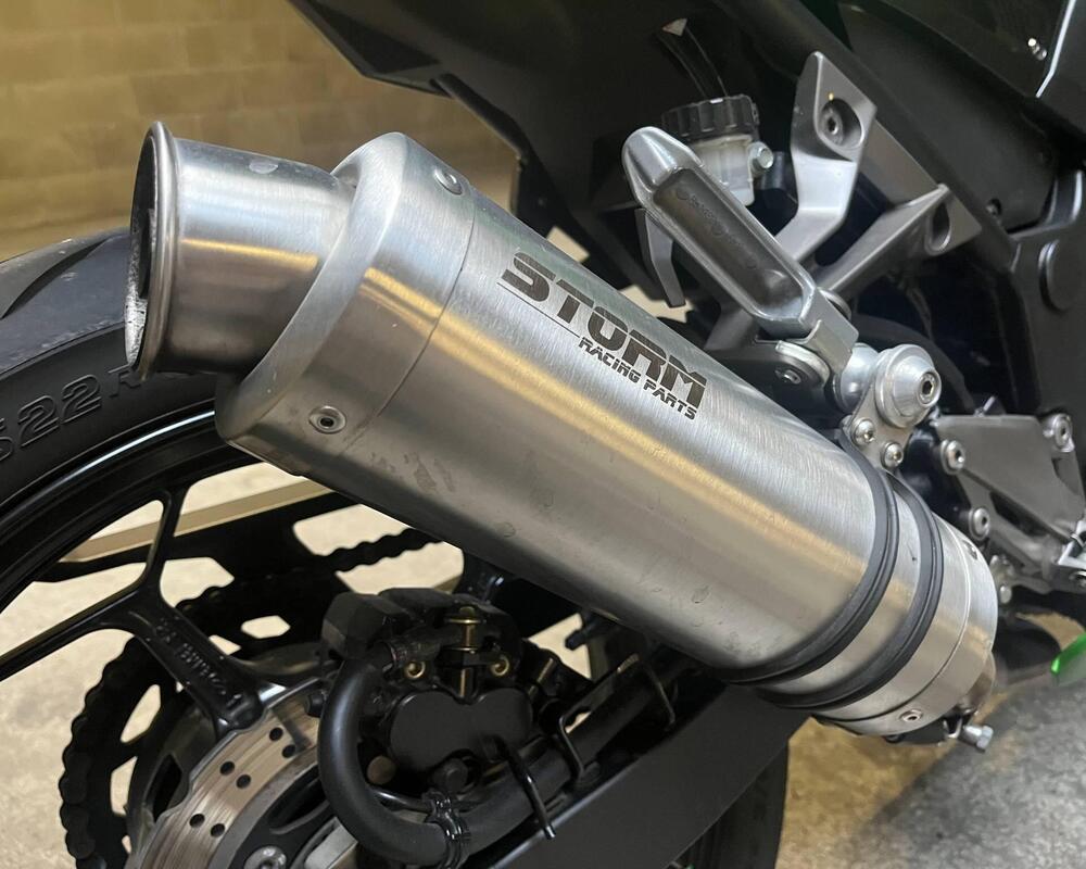 Kawasaki Z 300 ABS (2015 - 16) (3)