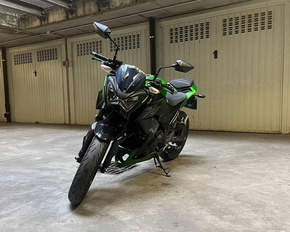 Kawasaki Z 300 ABS (2015 - 16) (6)