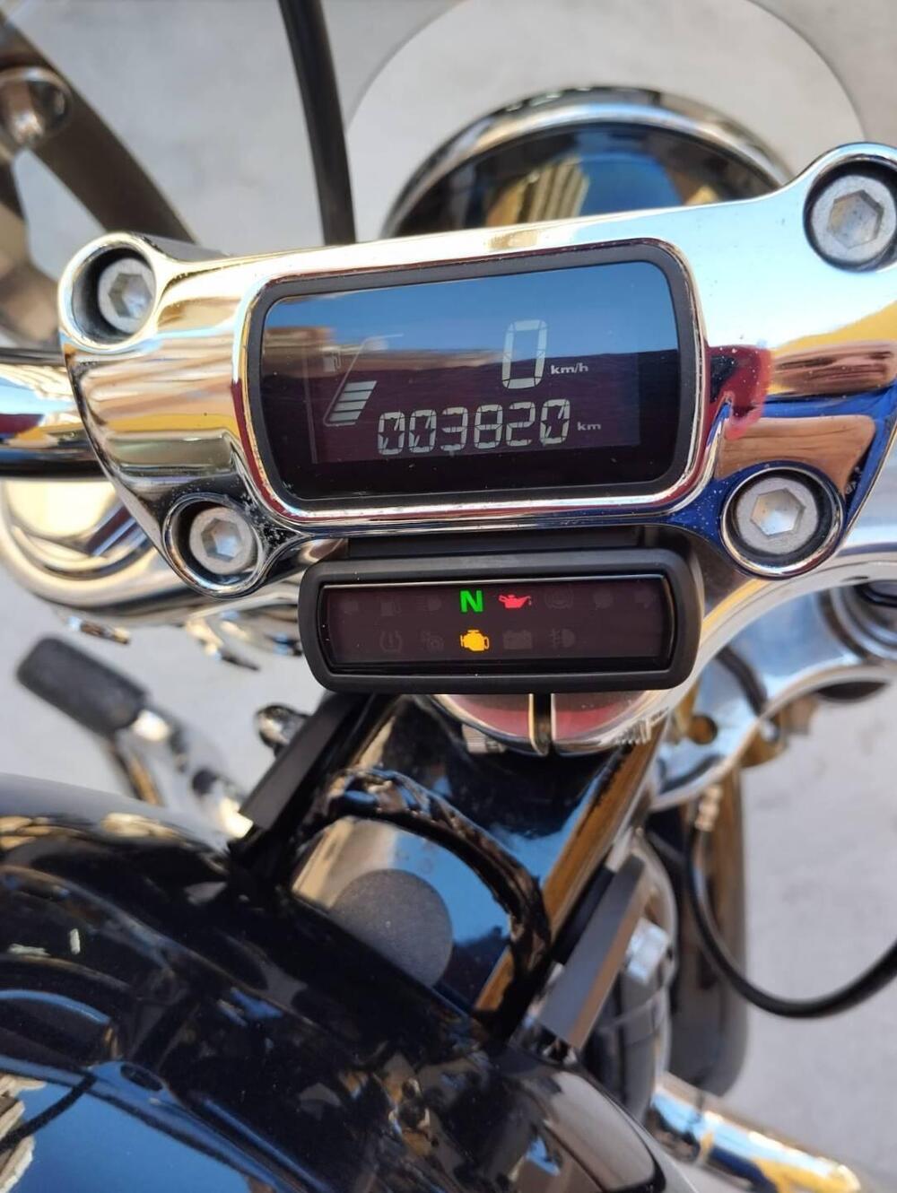 Harley-Davidson Softail Standard (2020) - FXST (9)