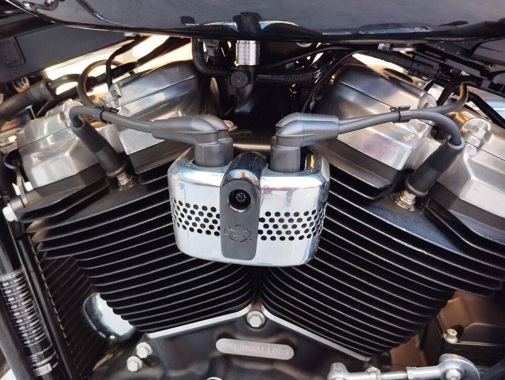 Harley-Davidson Softail Standard (2020) - FXST (11)