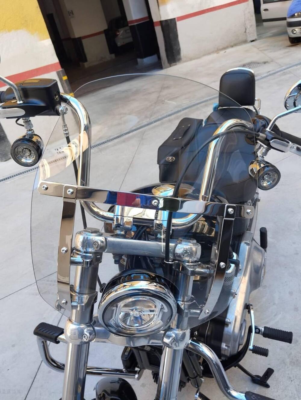 Harley-Davidson Softail Standard (2020) - FXST (12)